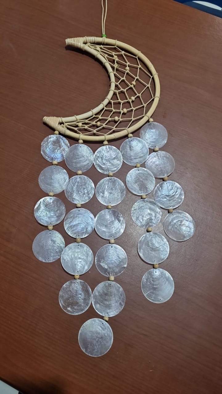 Bohemian rattan crescent moon dreamcatcher with seashell accents, 22 cm handmade wall decor