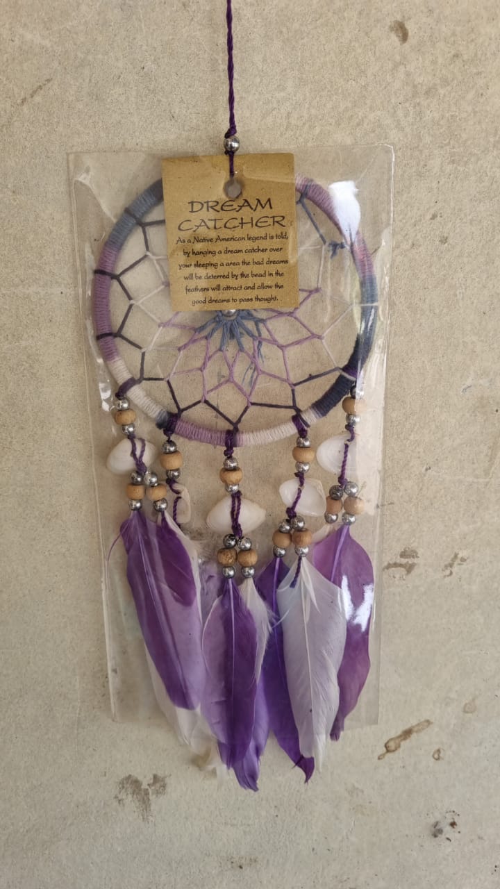 10cm handmade dreamcatchers with colorful feathers and cowrie shells in clear packaging, perfect for boho decor or gift