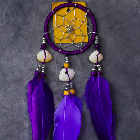 Close-up of a blue nylon dream-catcher with white and blue feathers hanging from a rear-view mirror.